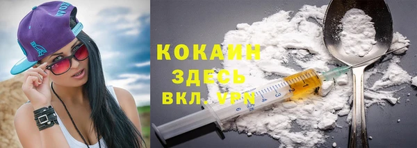 шишки Пестово