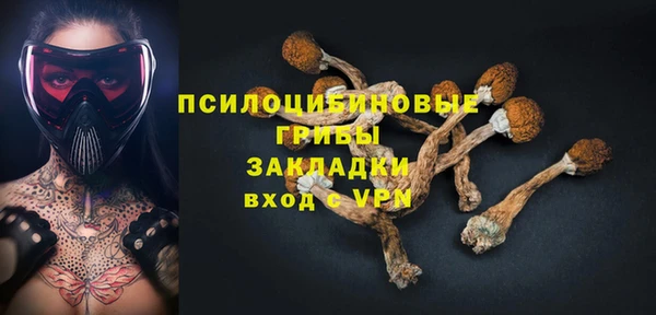 дживик Переславль-Залесский