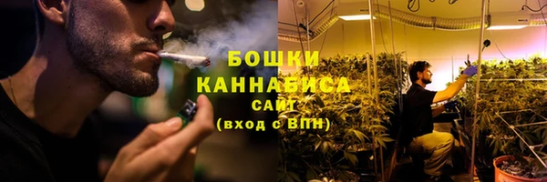 прущие крисы Пересвет