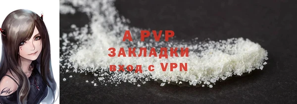 шишки Пестово