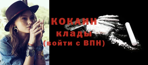 дживик Переславль-Залесский