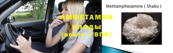 шишки Пестово