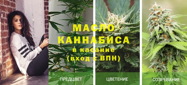 прущие крисы Пересвет