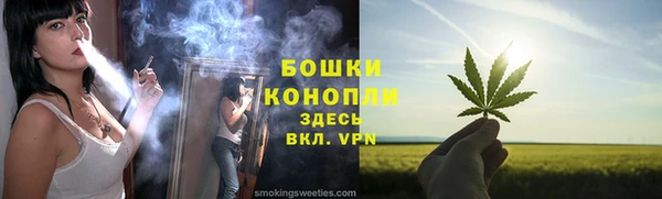 прущие крисы Пересвет