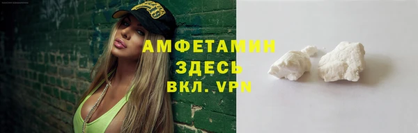 шишки Пестово