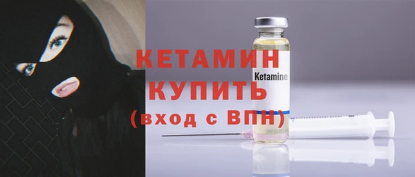 шишки Пестово