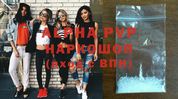 шишки Пестово