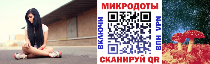 это какой сайт Тайга Псилоцибиновые грибы Magic Shrooms